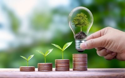 Le numérique est-il un allié ou un piège pour l’environnement ?